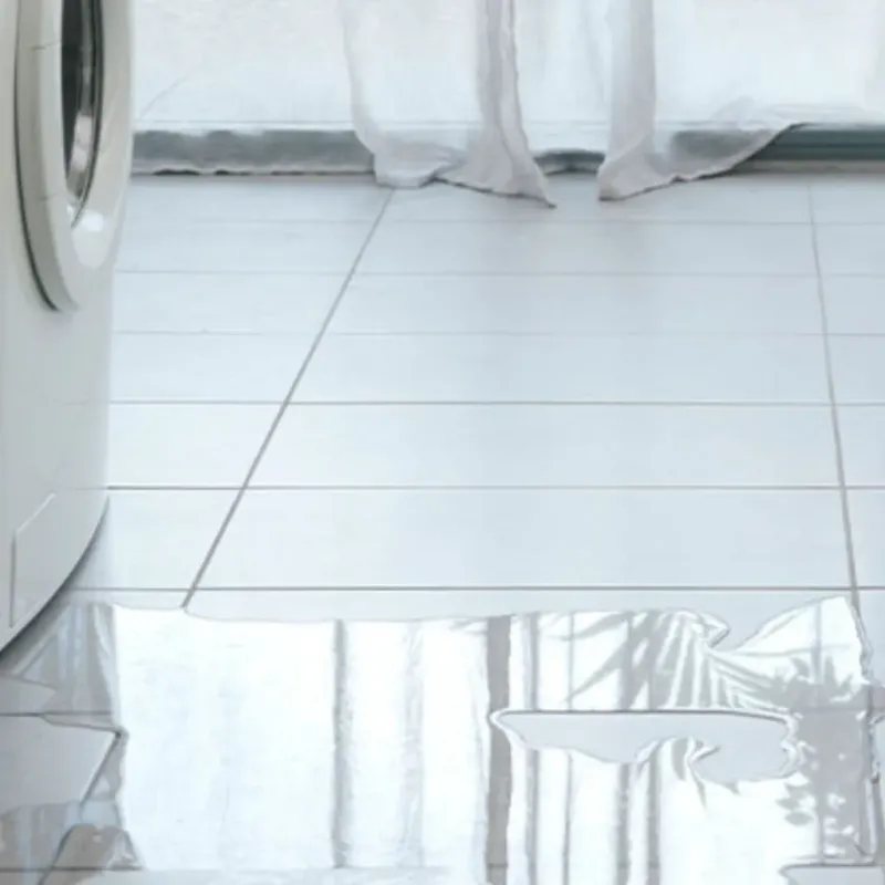 Appliance Leak Cleanup in Milan, IN