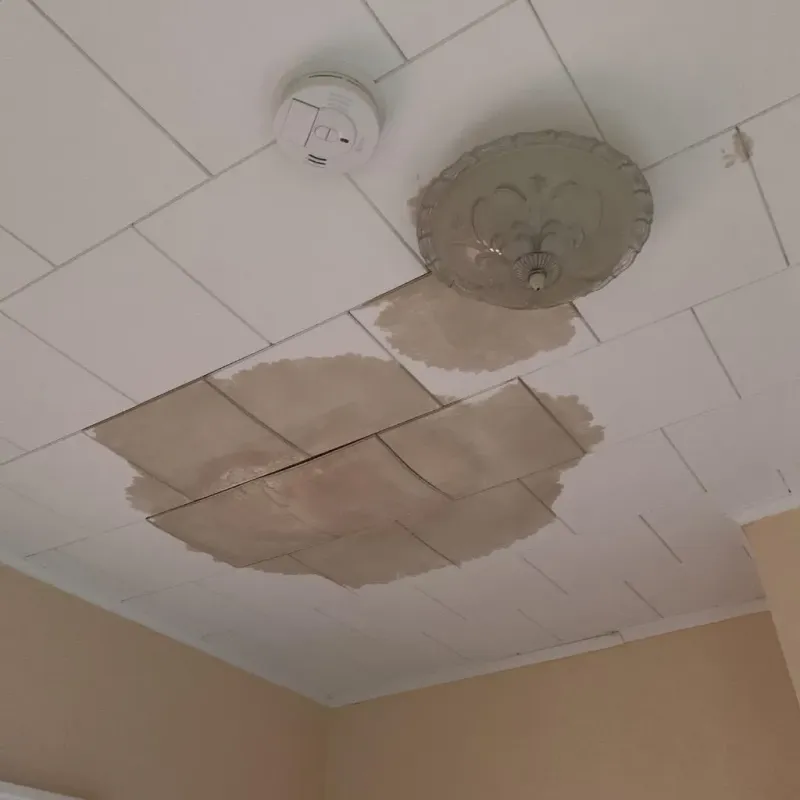 Ceiling Water Damage Repair in Milan, IN