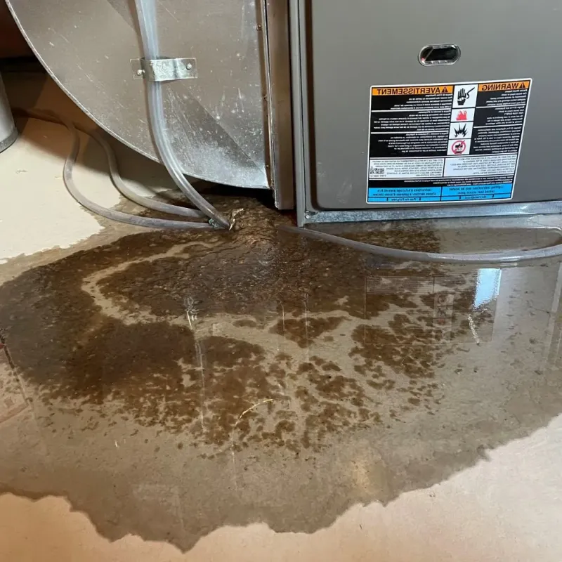 Pipe Burst and Leak Restoration in Milan, IN