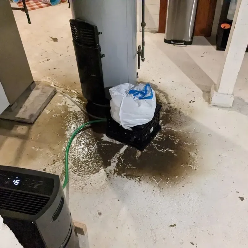 Sewage Backup Cleanup Service in Milan, IN